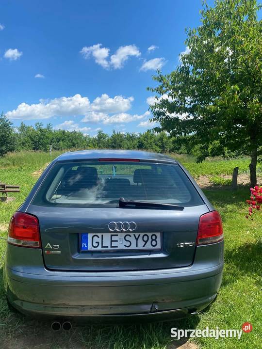 Audi A3 8P 2003r Łoźnik