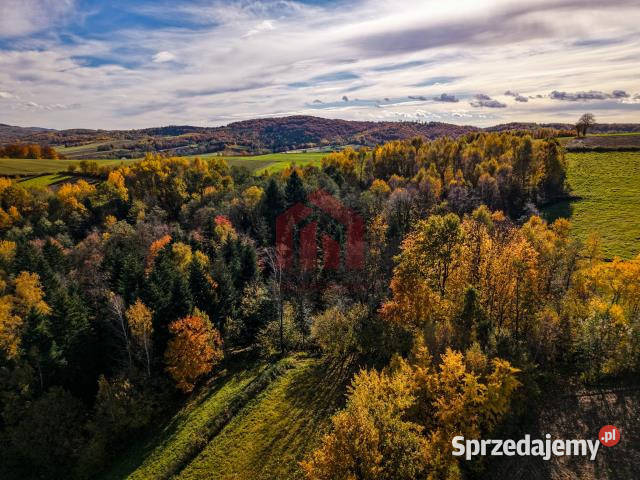 Ogłoszenie dom 156m2 Smarżowa Rok budowy 1955
