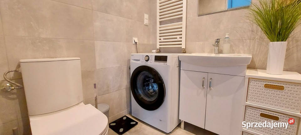 Mieszkanie do wynajęcia 3633m2 2 pokoje Rzeszów