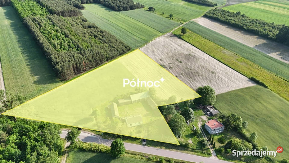 Dom na dużej działce Marysin