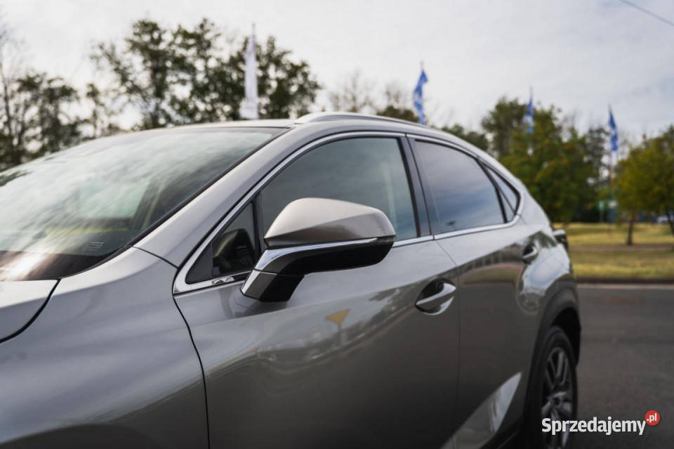 Lexus NX 300t 1998cm3 Zabrze