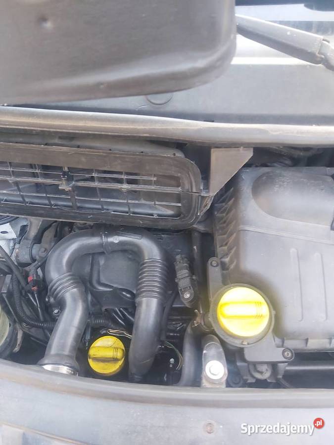 Renault Trafic 9 osób long Motoryzacja Chocznia