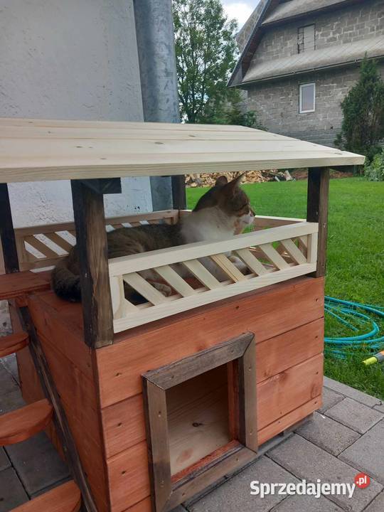 fajn y kojec kota małego pieska Kościelisko sprzedam