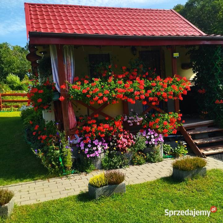 Sprzedam działkę ROD Bielany prąd warmińsko-mazurskie Elbląg