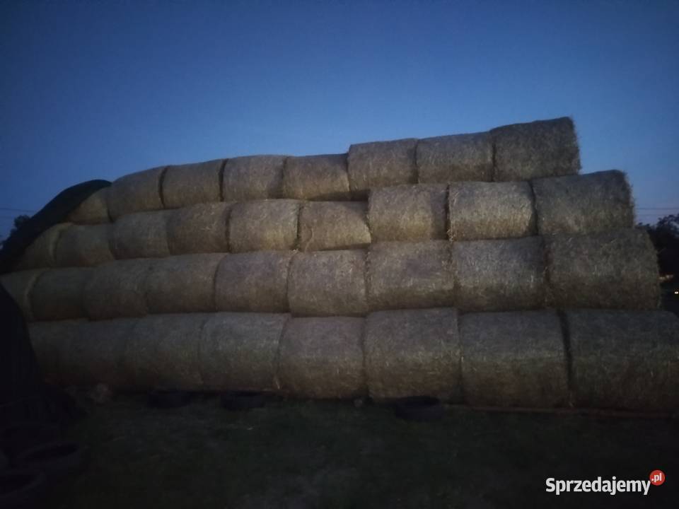Słoma w belach tegoroczna mazowieckie Kozienice
