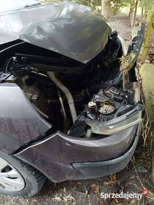 Renault Scenic 2004 20 LPG Automat 1998cm3 Jędrzejów