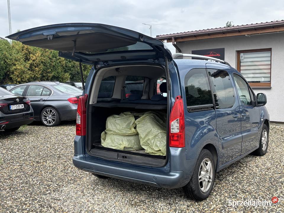 Citroen Berlingo Van / Minibus śląskie Paniówki