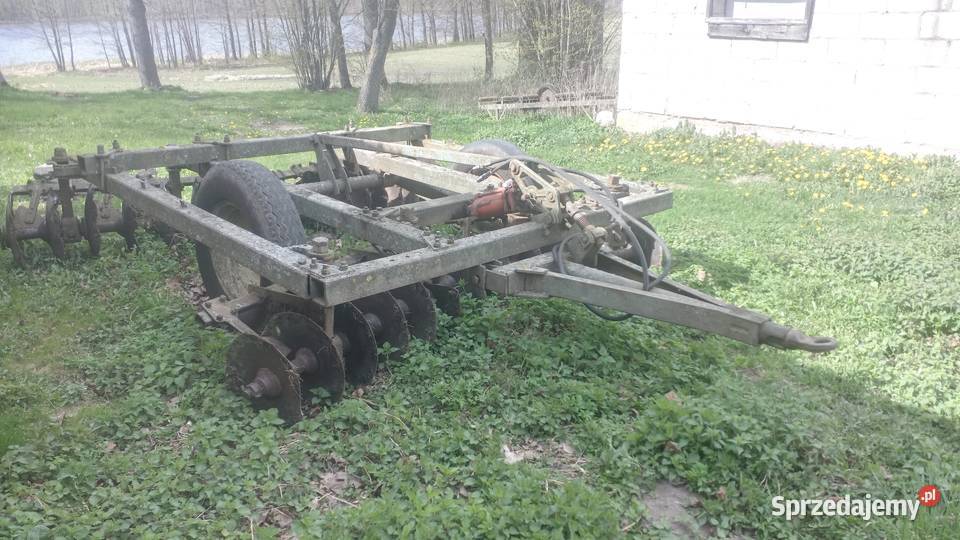 Talerzówka bdt rosyjska Puńsk