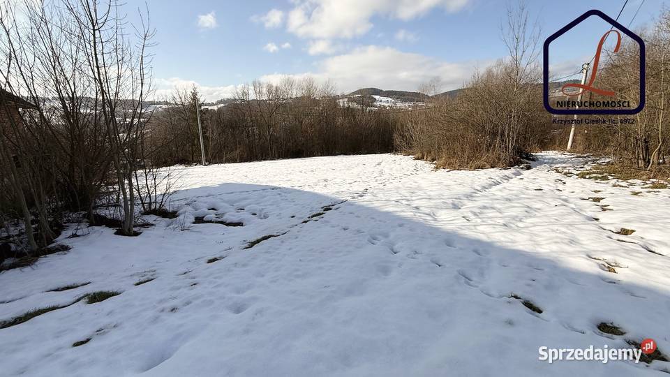 Działka budowlana 61 ar Trzetrzewina gm Chełmiec 6100m2 Sprzedaż małopolskie