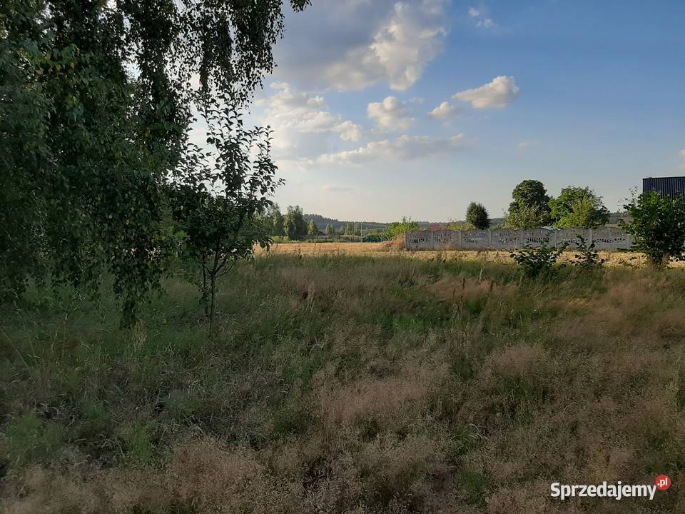 Działka budowlana i rolna 13850m2 Grunty i działki Gołuchowice