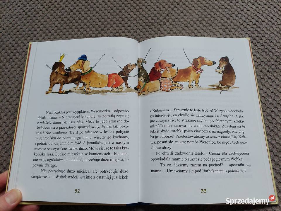 Kaktus szukaj Barbara Gawryluk małopolskie Kraków