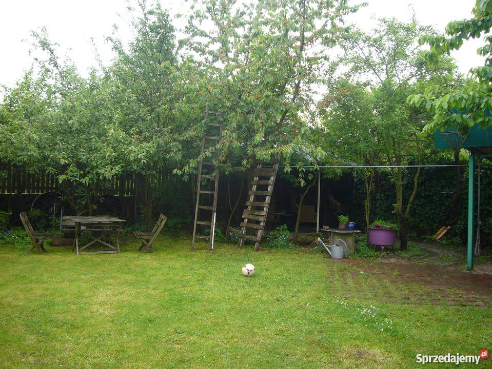 dom z ładnym ogrodem Domy Kożuchów