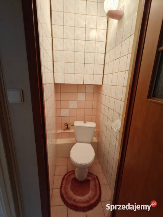 sprzedaż Liczba pokoi 3 Szczecin