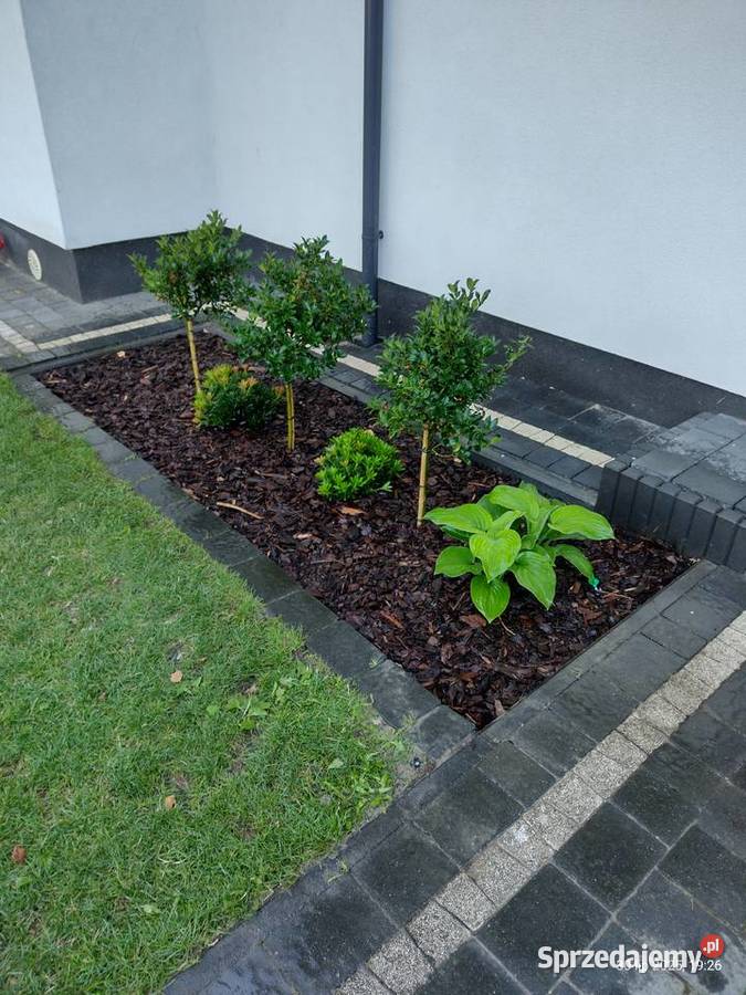 Prace remontowemalowanie Ogrod Komornica