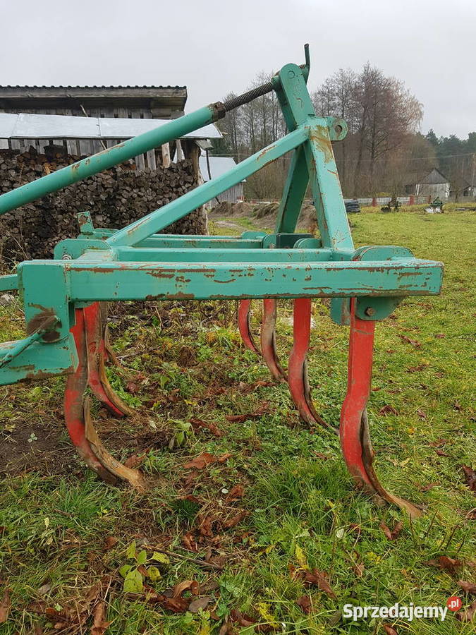 Gruber ścierniskowy Wola Wielka