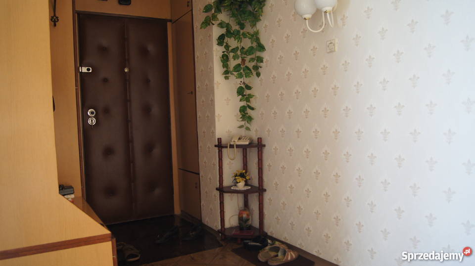 Mieszkanie M3 Bytom Miechowice 48m sprzedam