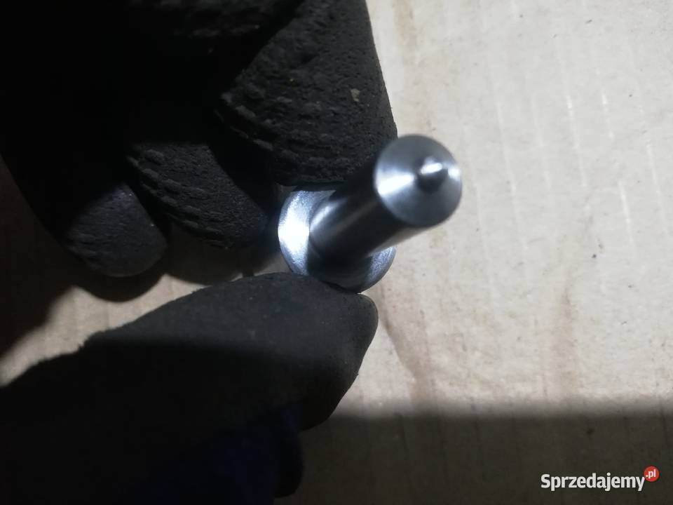 Rozpylacz nowe Dąbie