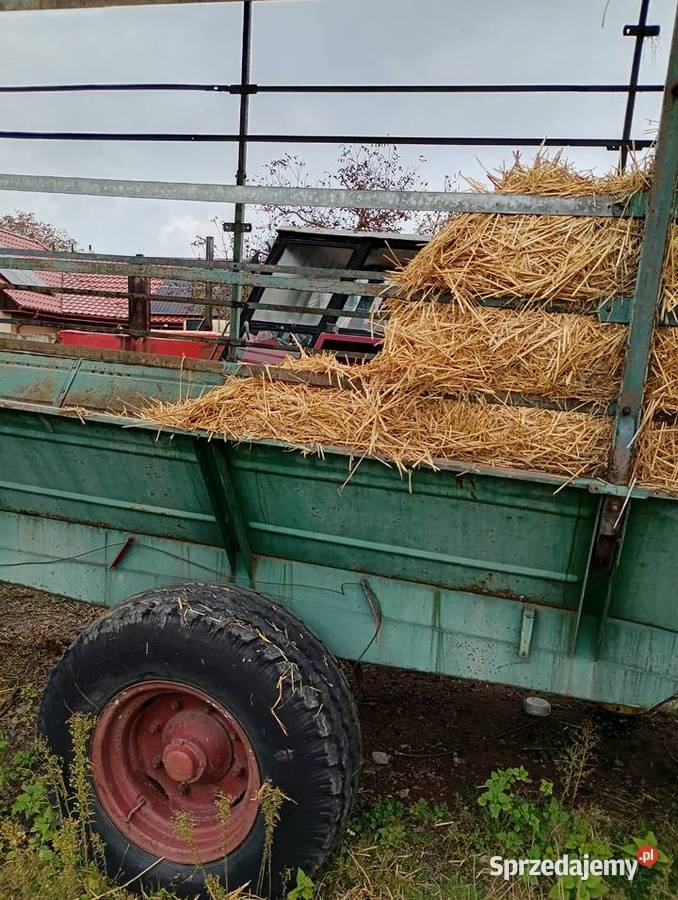 Przyczepa samozbierająca Brzeg