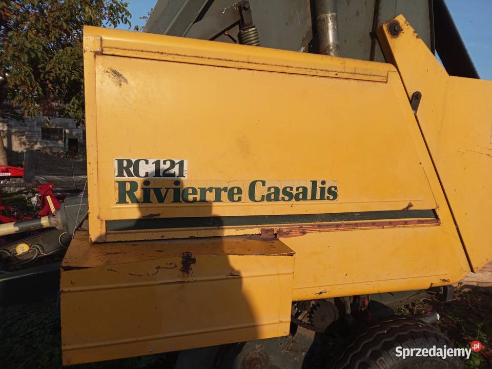 Sprzedam prase Rivieere Casalis RC121 Lipno