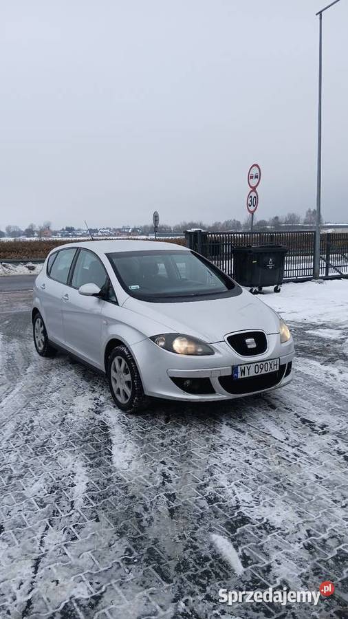 Seat Altea szary Wierzbin