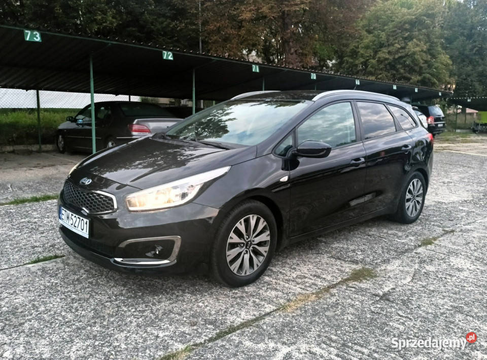 Kia Ceed pierwszy właściciel niski przebieg II kurtyny powietrzne Tomaszów Mazowiecki