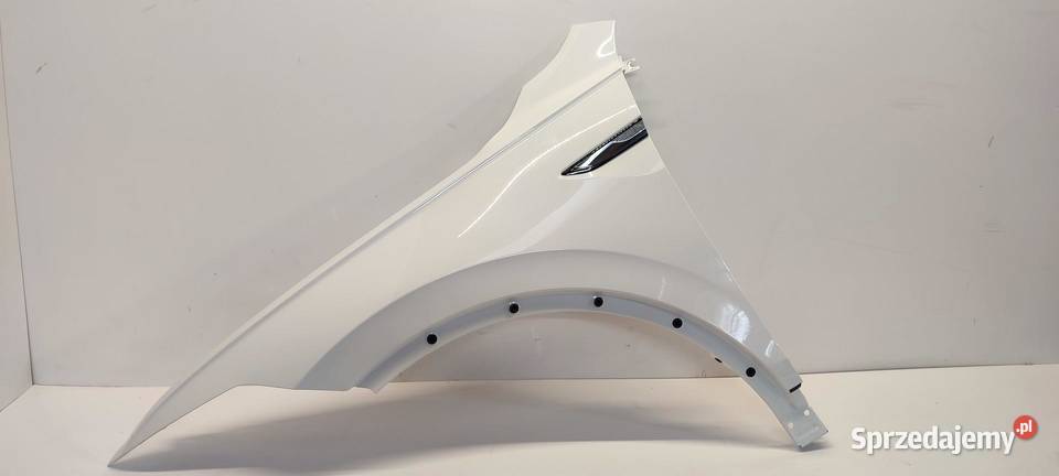 TIGUAN ALLSPACE BŁOTNIK LEWY PRZÓD LC9A 2024 Motoryzacja dolnośląskie