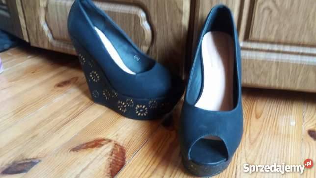 Koturny Sinly warmińsko-mazurskie