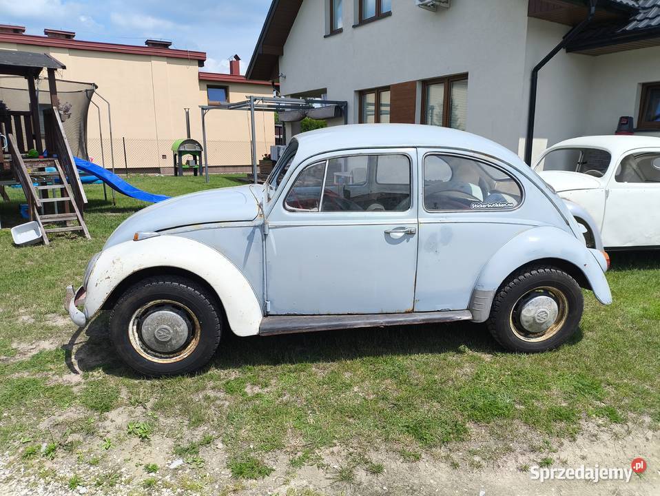 Volkswagen Garbus 1966 Proćwin