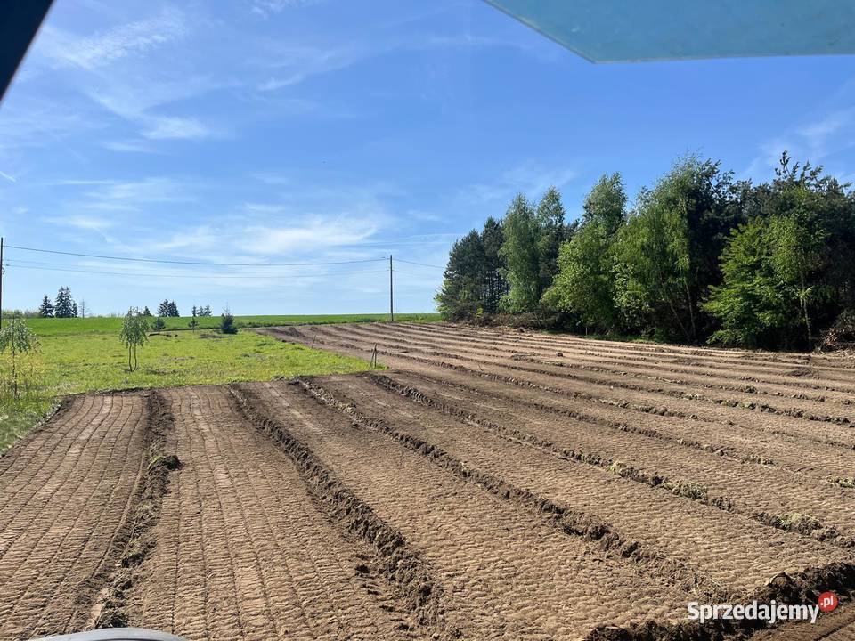 Mulczowanie działek w Andrychów wgłębne