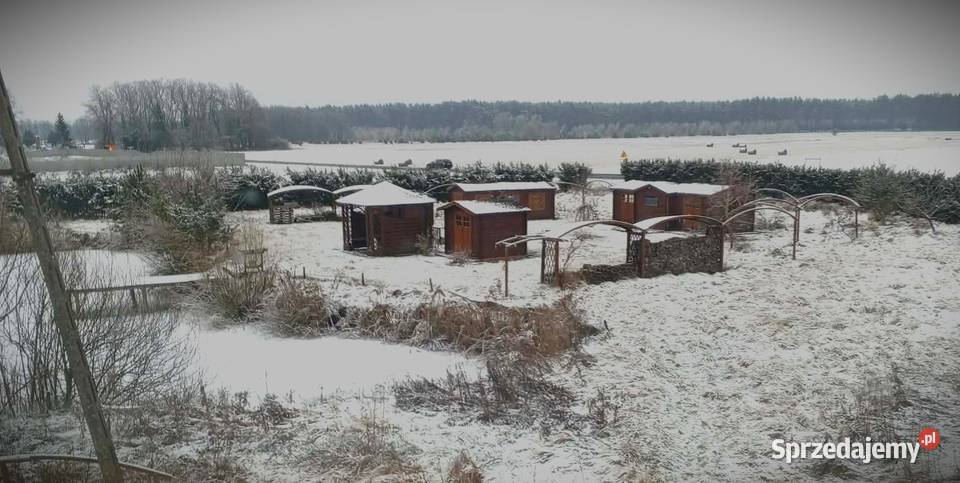 Prawie PÓŁ HEKTARA STAW DOM Siercz woj lubuskie Poznań