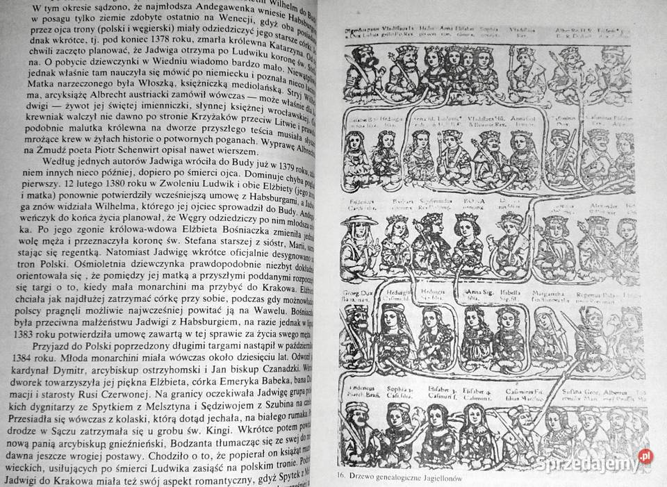 Polskie królowe Żony Piastów i Jagiellonów Chełm