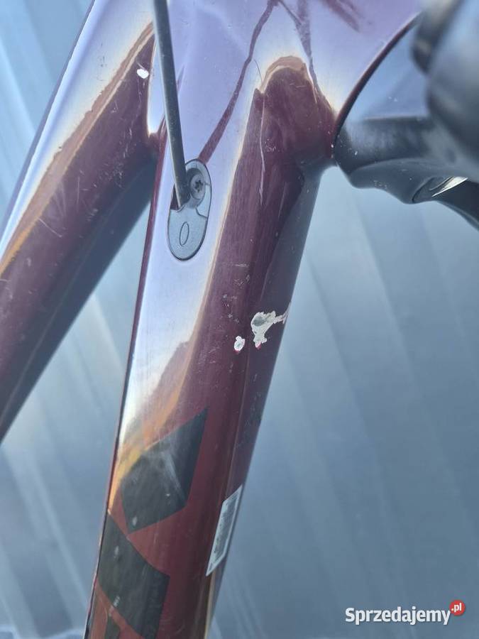 Rower enduro Trek Slash 29 rozmiar L