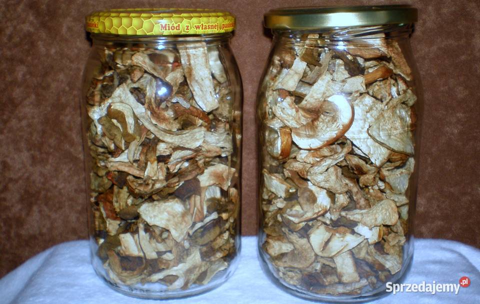 suszone grzyby prawdziwek Skoczów