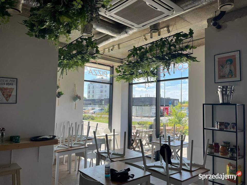 Ogród wertykalny sztuczna zielona ściana z Katowice