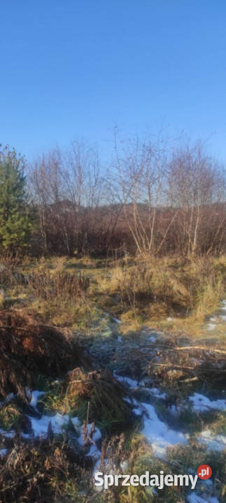 JUSZOWICE gmina Rudna KLIMATYCZNA DZIAŁKA z MPZP