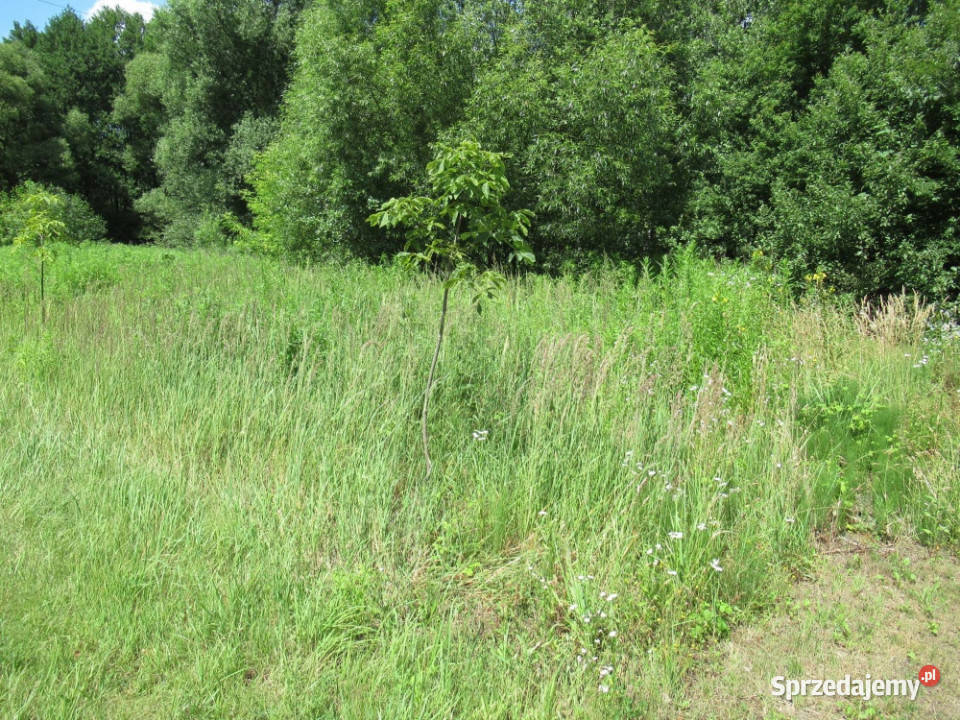 Sprzedam udział działka i dom