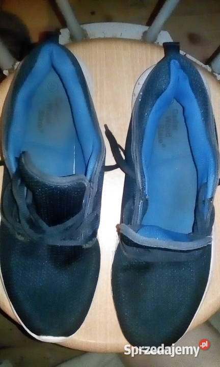 Buty sportowe męskie firmly Cedar Wood State 46