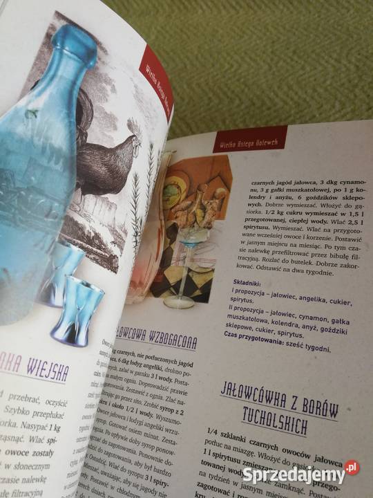 Książka Wielka Księga Nalewek Jan Rogala Szczecin