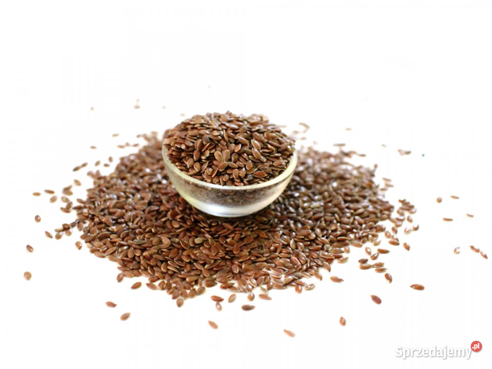 Siemię lniane 1 Brzozów