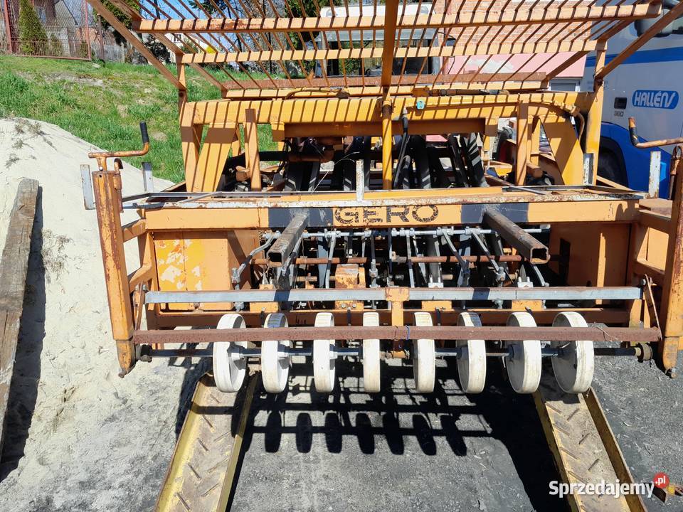 Sadzarka do warzyw taśmowa nieuszkodzony Sandomierz