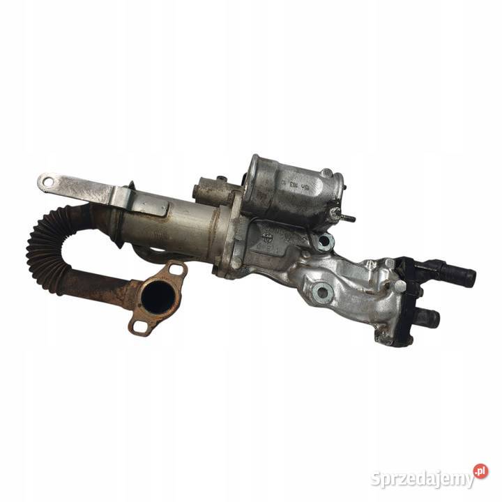 ZAWÓR EGR Renault Scenic III 15 DCI chłodnica lubelskie Chełm