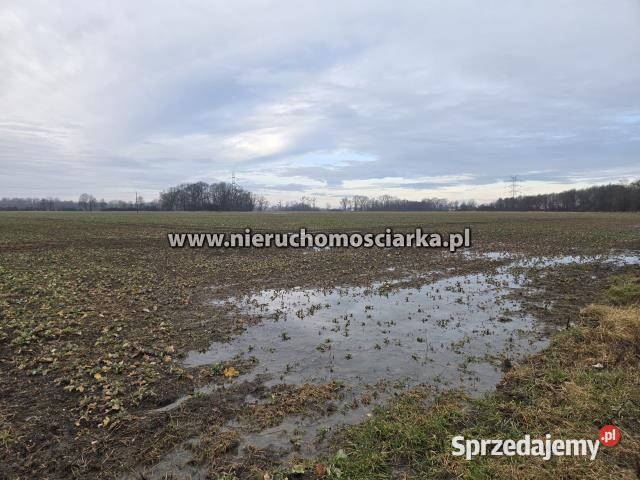 Grunt 4593m2 Gorzyce