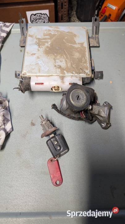 Nissan Terrano 2 30 immobiliser Gorzów Wielkopolski sprzedam