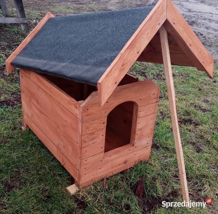 Buda psa Izbica Kujawska