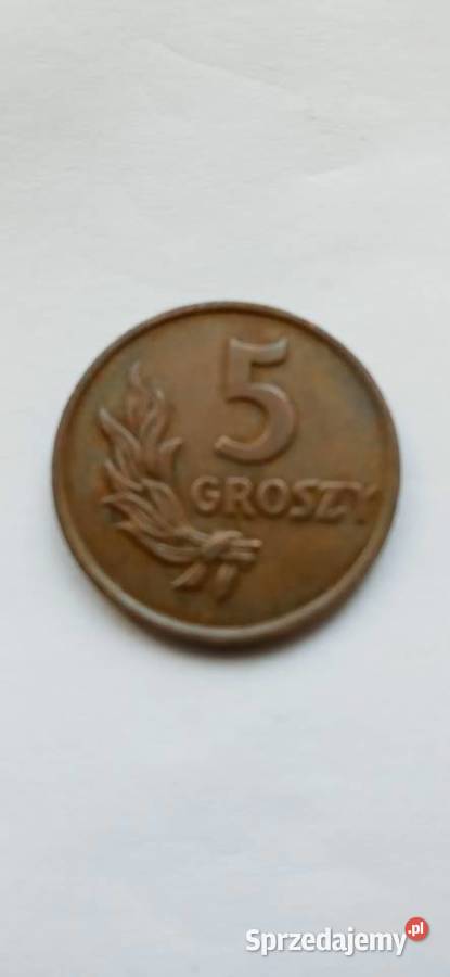 Moneta 5 gr. 1949