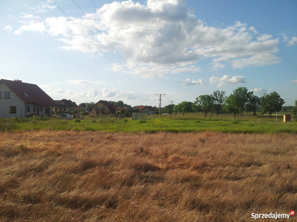 Działki budowlane w Witkowie koło Stargardu zachodniopomorskie Witkowo Drugie sprzedam