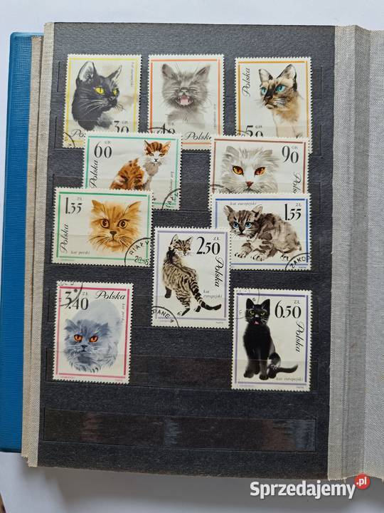 Kolekcja Polska Kuba Izrael Z Radziecki Węgry Poznań