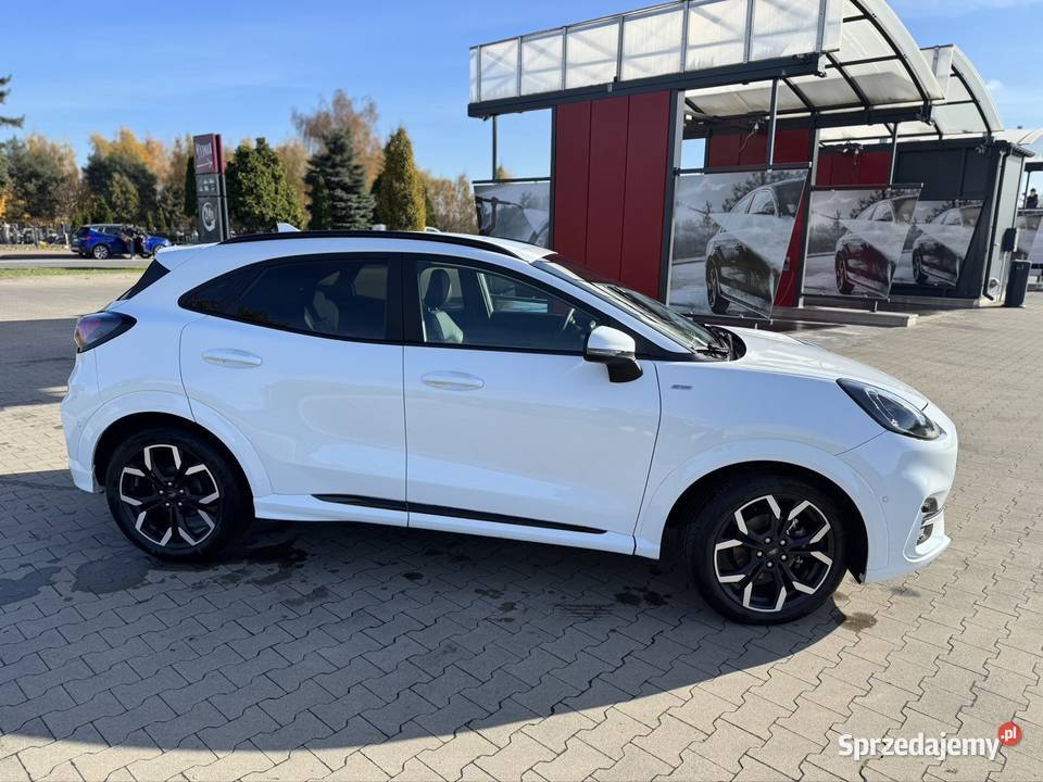 Ford Puma stline wielkopolskie Lewków