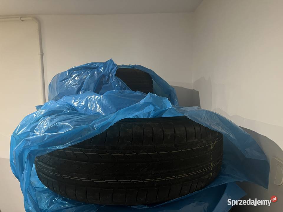 Opony Sailun Erange Performance