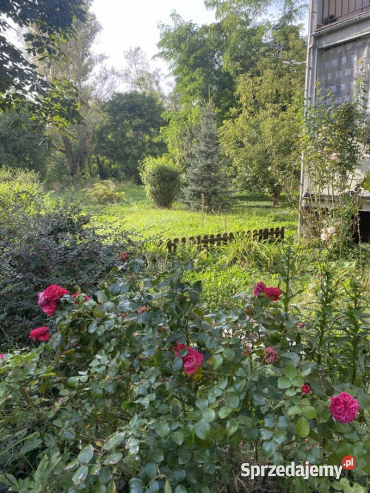 Dwupokojowe mieszkanie os Cegielniana